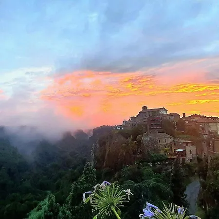 Antica Rupe Apartment Castel Sant'Elia